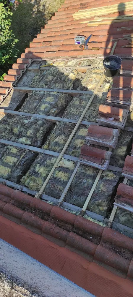 nos realisation (26)