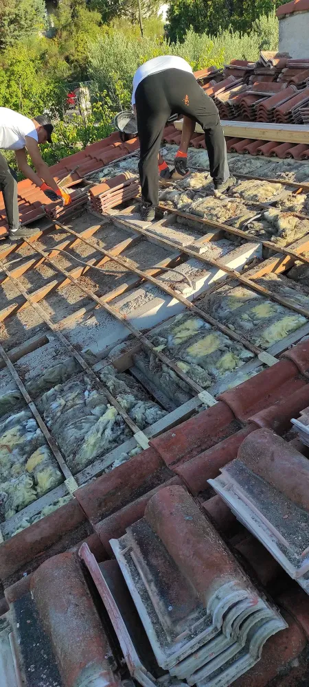 nos realisation (27)