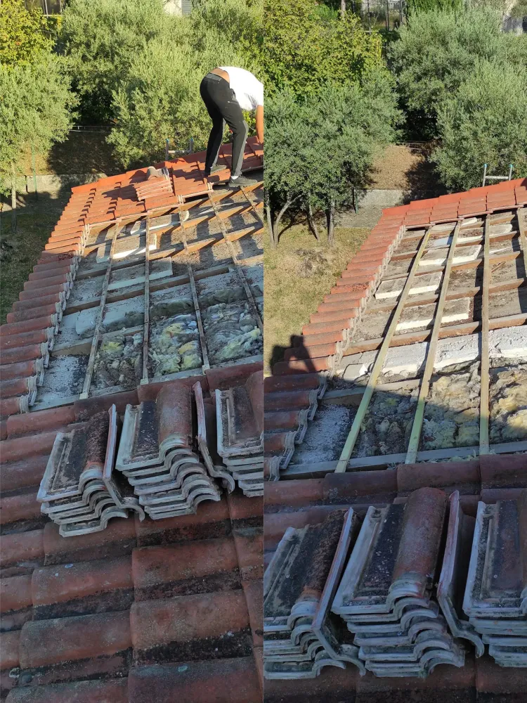 nos realisation (29)