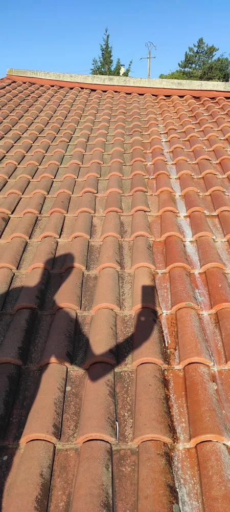 nos realisation (30)