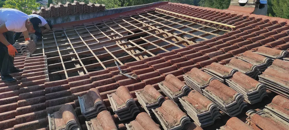 nos realisation (31)