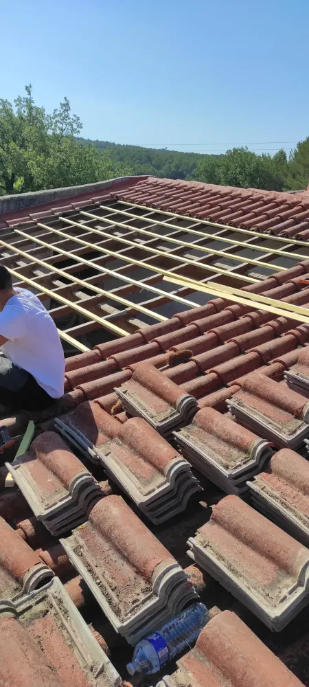 nos realisation (32)