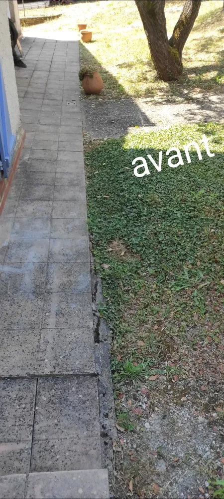 nos realisation (33)