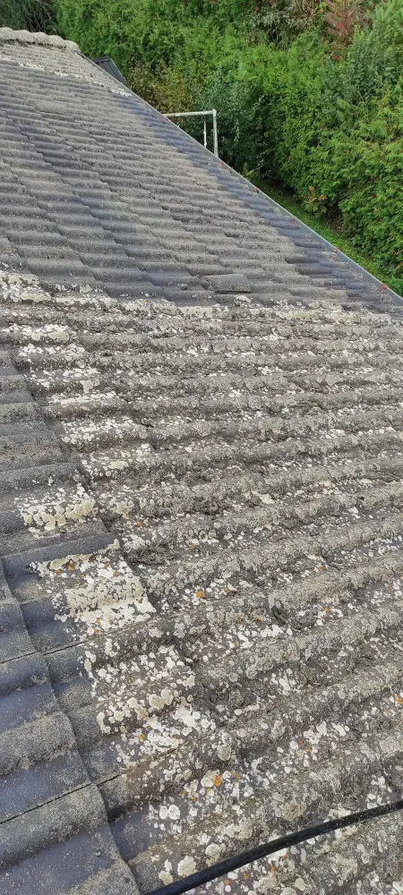 nos realisation (36)