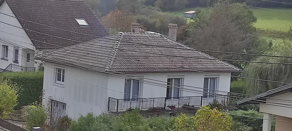 nos realisation (37)