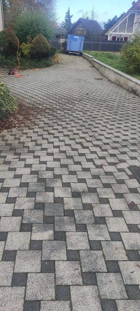 nos realisation (38)