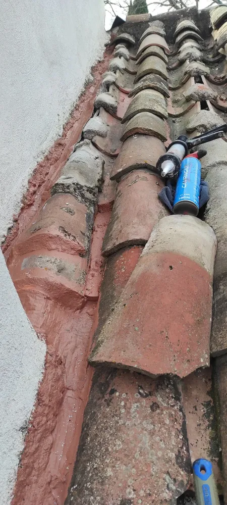 nos realisation (50)