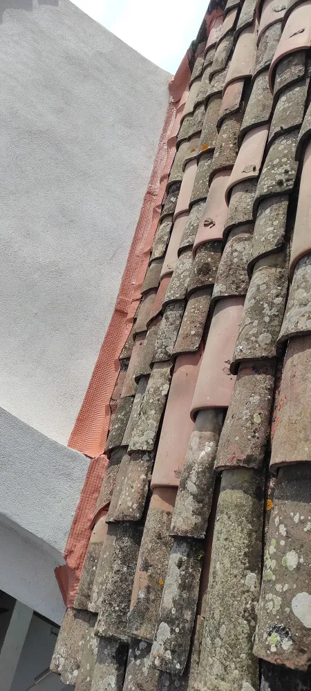 nos realisation (52)