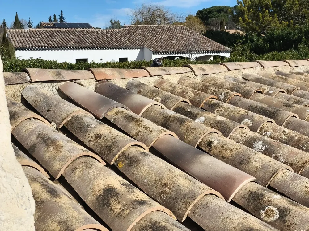 nos realisation (64)