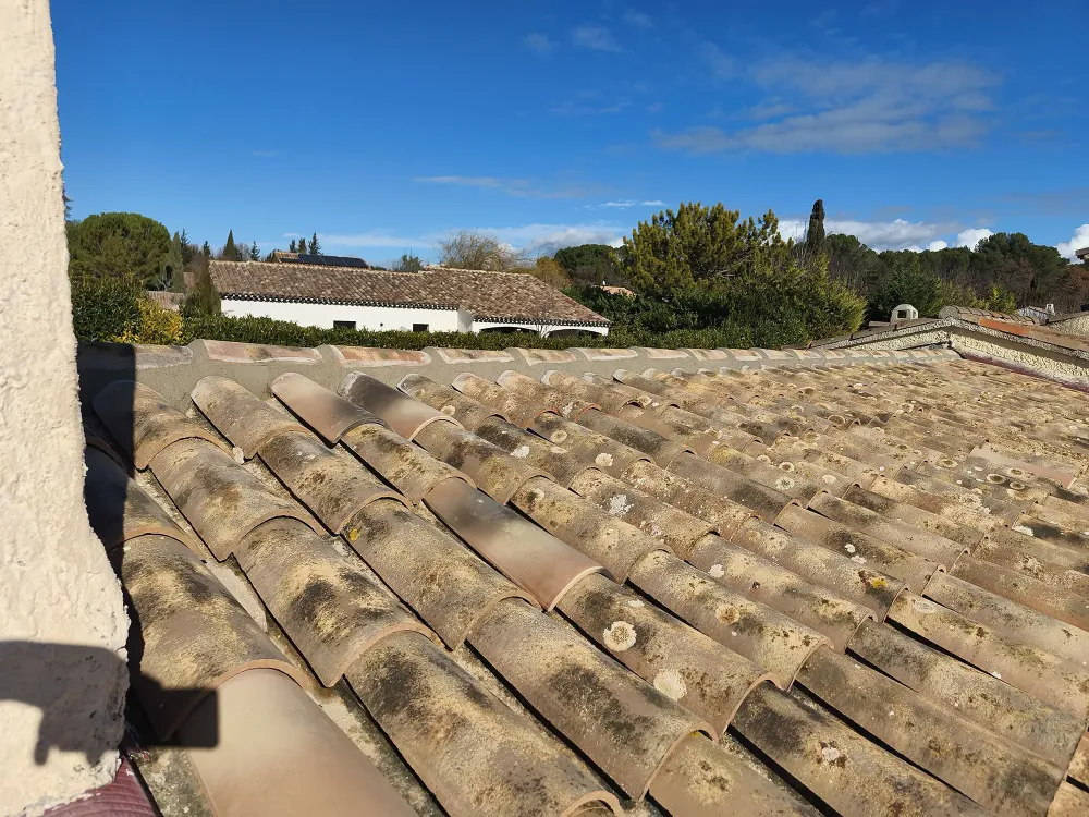 nos realisation (65)