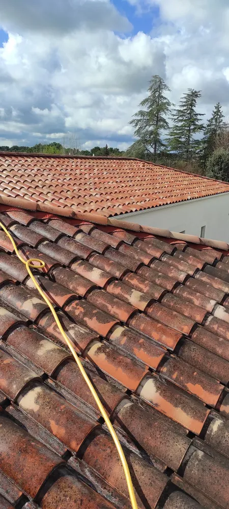 nos realisation (54)