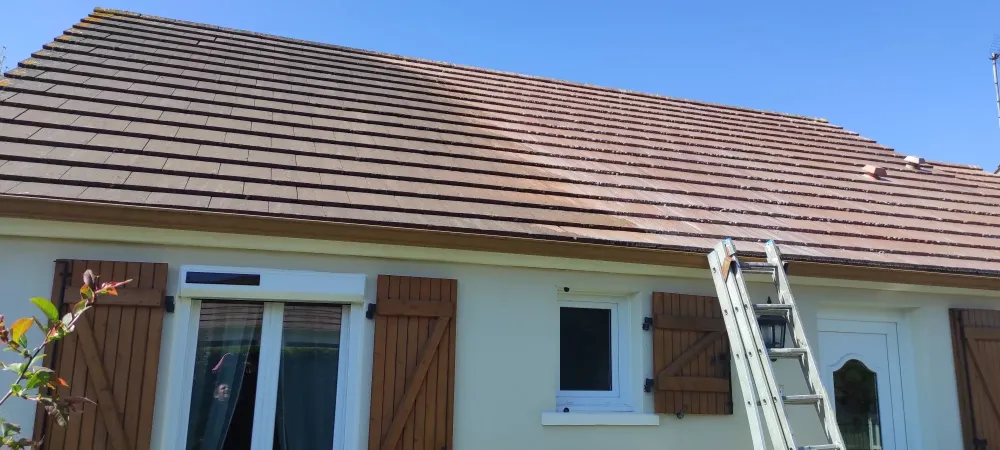 nos realisation (55)